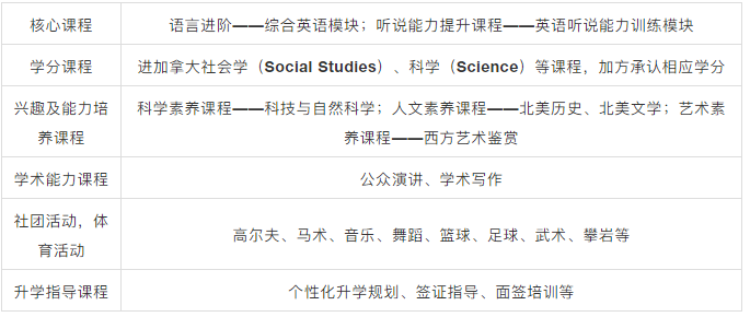 课程设置