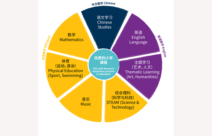 小学课程体系