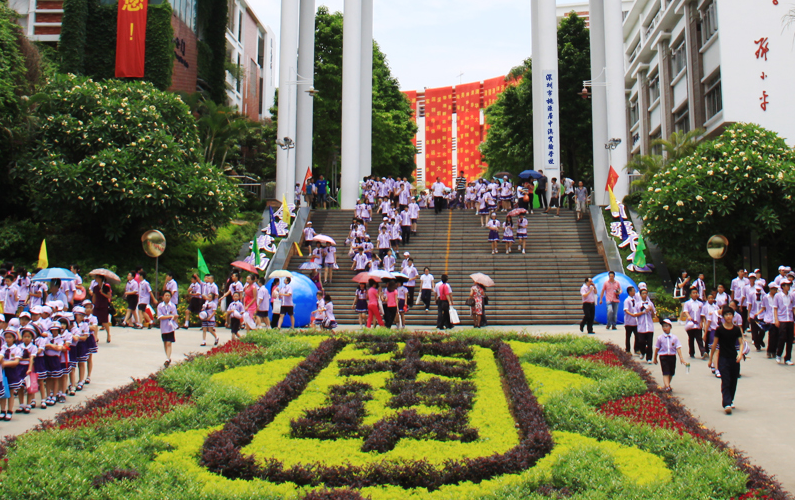 桃源居中澳实验学校