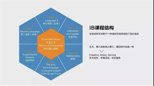 IB课程结构