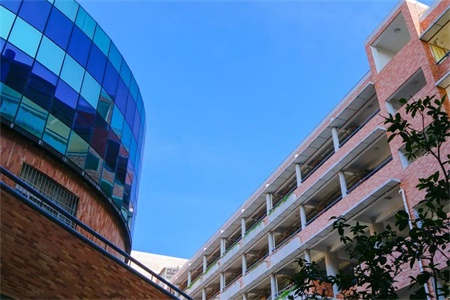 深大师院国际高中