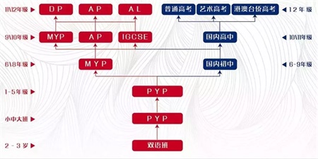 碧桂园学校课程设置