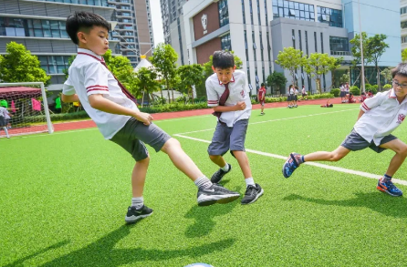 深圳南山国际学校