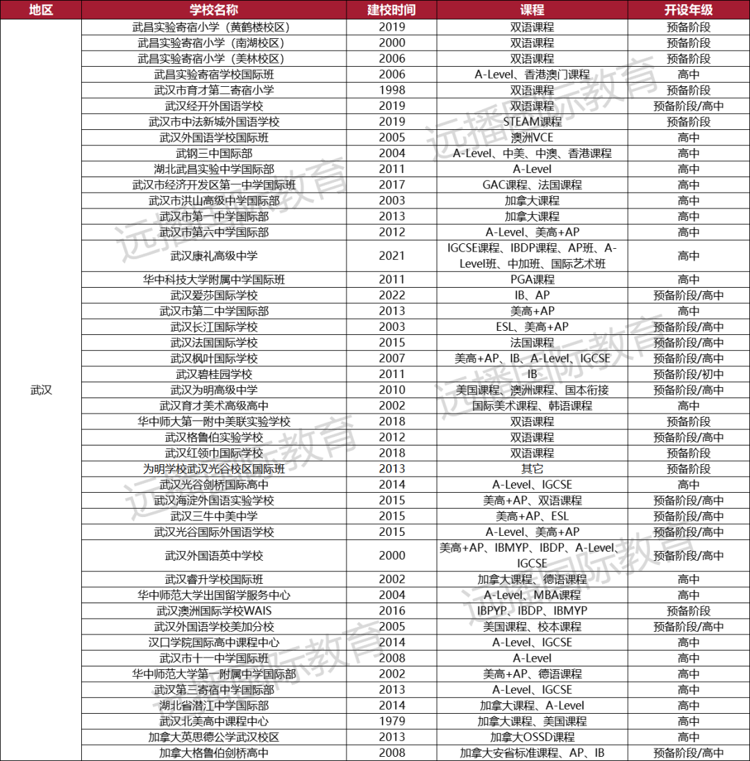 武汉国际化学校一览