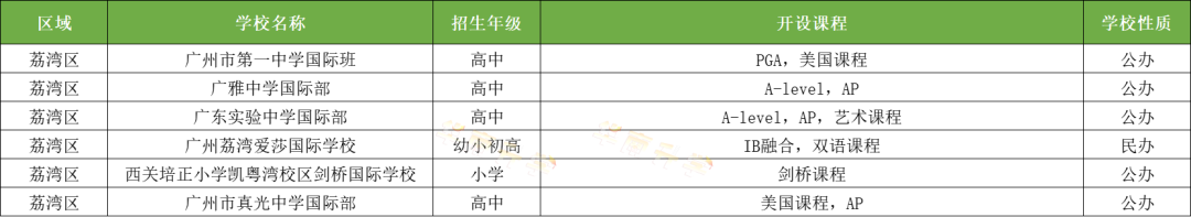 广州荔湾区国际化学校一览