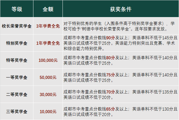 成都树德中学国际部奖学金计划