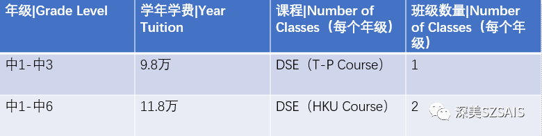 深圳深美外籍人员子女学校2024-2025学年课程学费