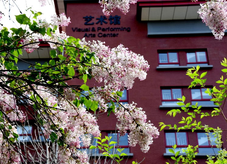 北京十一学校国际部