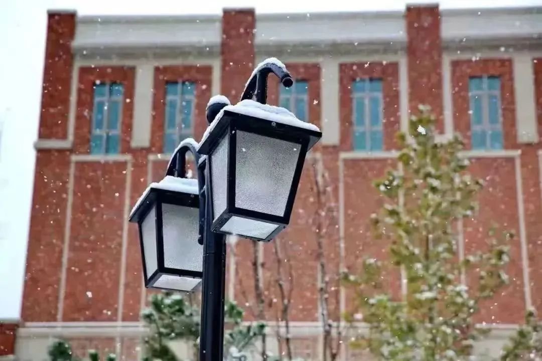 北京市鼎石学校