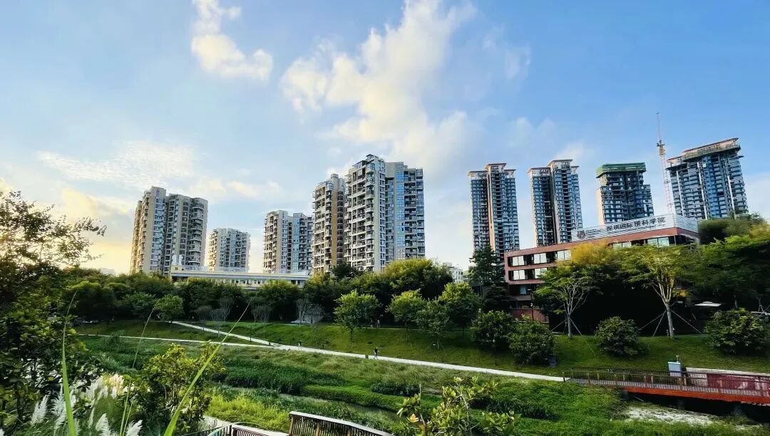 深圳IPC国际校区