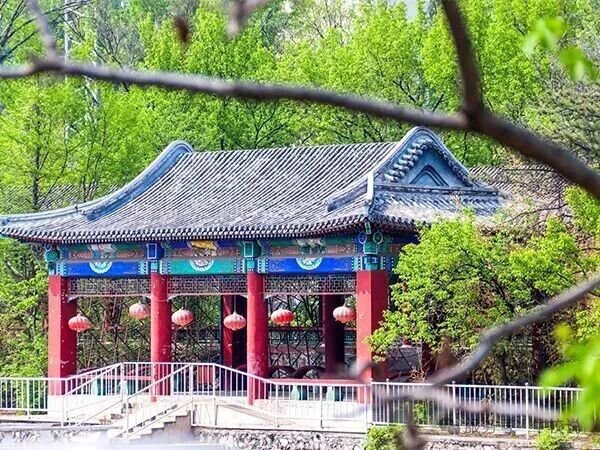 北京橘郡国际学校